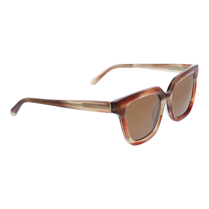 Vera Bradley Karolina: Subtle Tortoise Polarized Sunglasses  display picture 3