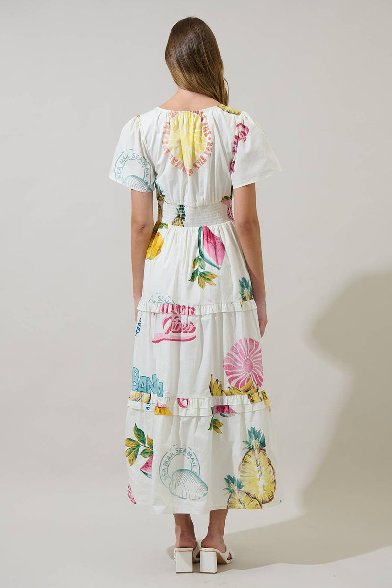 Zahra Island Palmer Poplin Tiered Maxi Dress