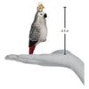 African Grey Parrot Ornament