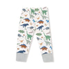 Washy Dinos - Long Sleeve Loungewear Set