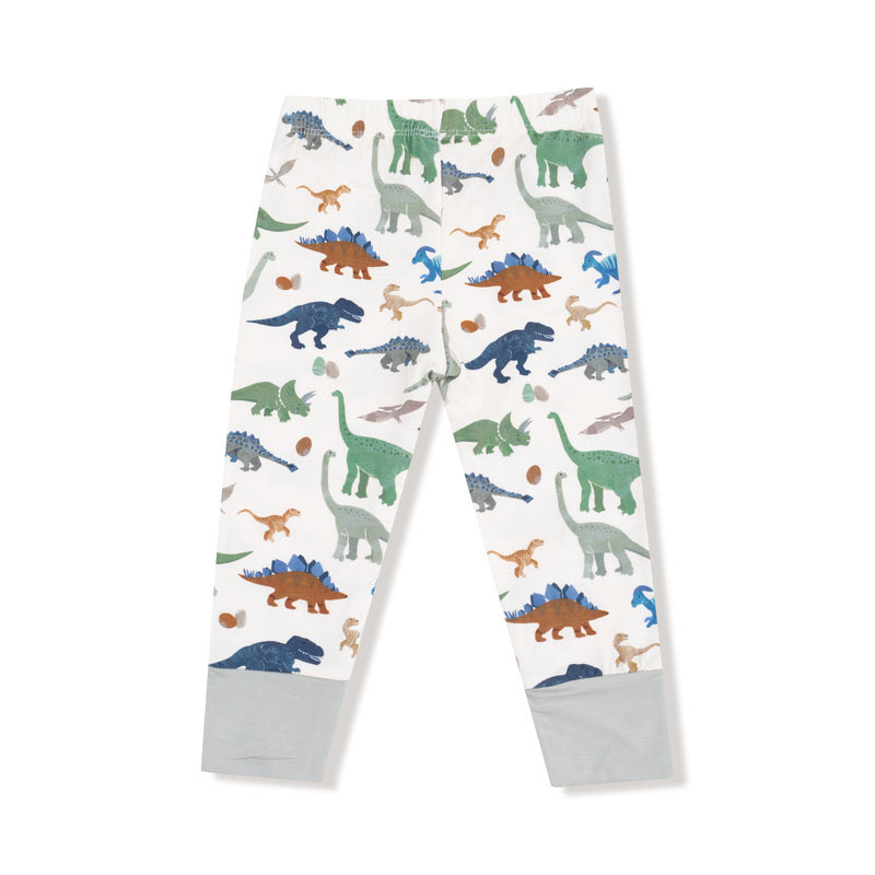 Washy Dinos - Long Sleeve Loungewear Set