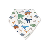 Washy Dinos - Bandana Bib