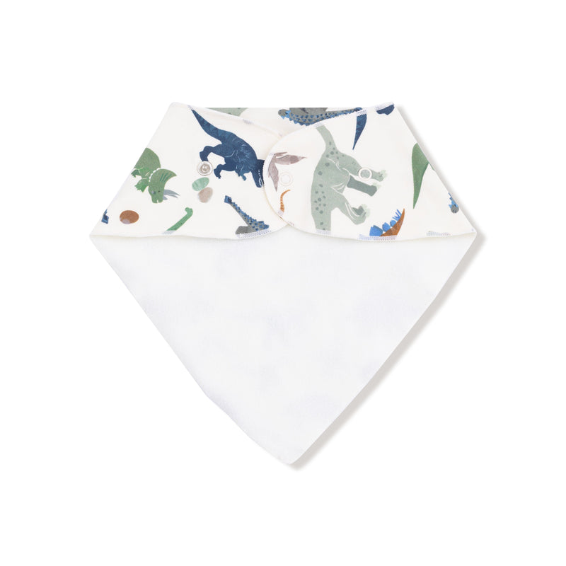 Washy Dinos - Bandana Bib