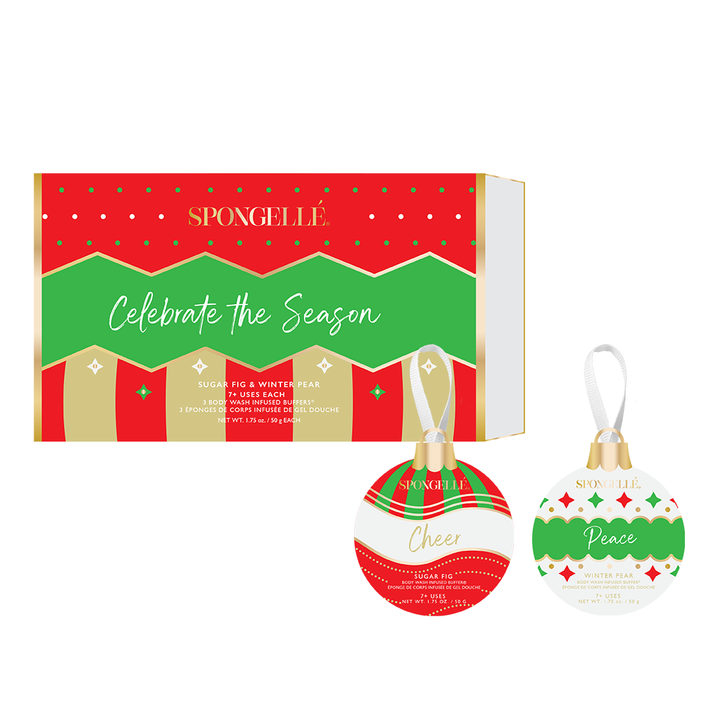 Celebrate the Season Holiday Ornament Gift Set