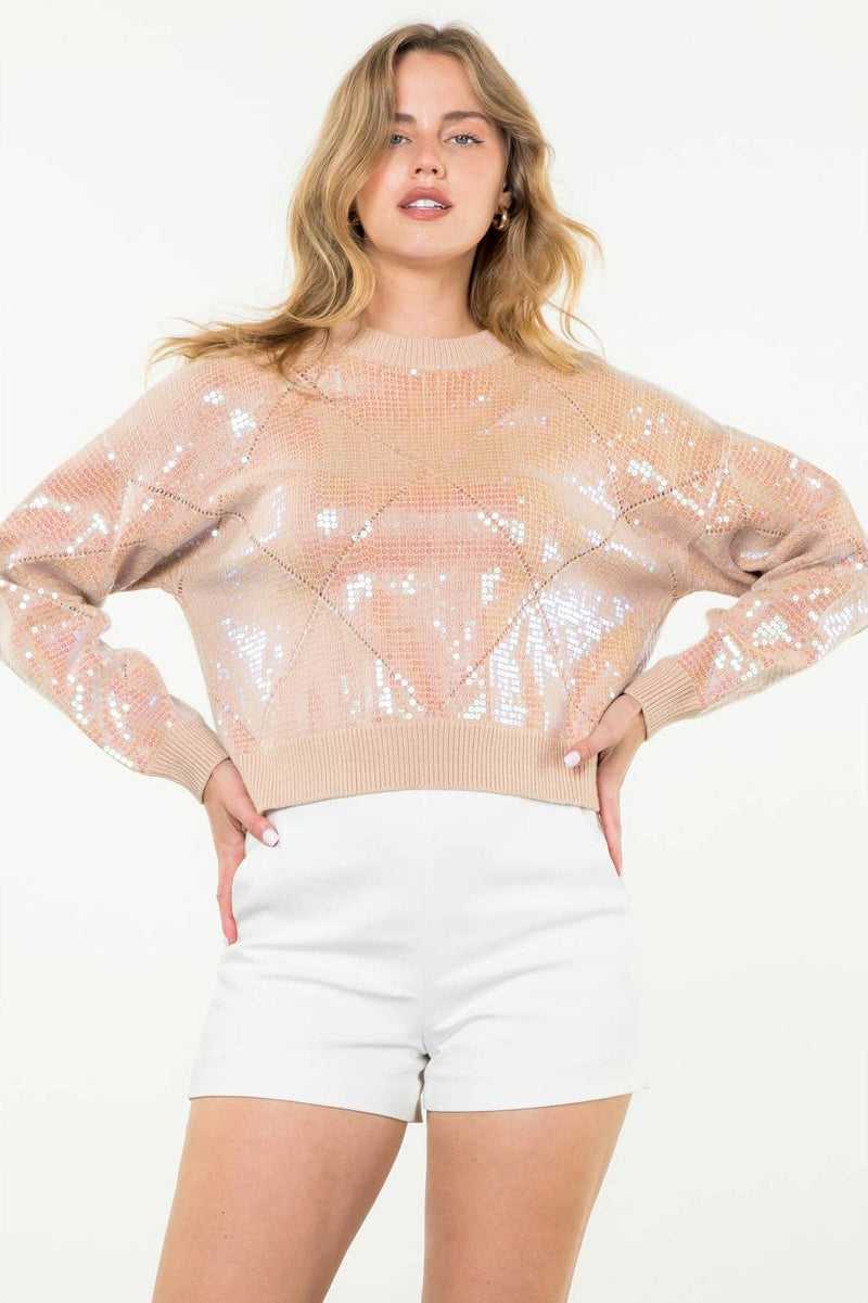 Sequin Knit Sweater