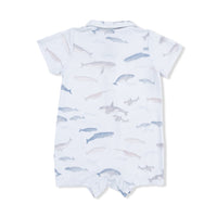 Little Whales - Polo Shortie