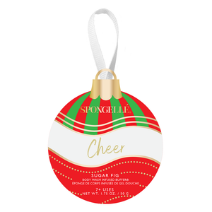 Celebrate the Season Holiday Ornament Gift Set