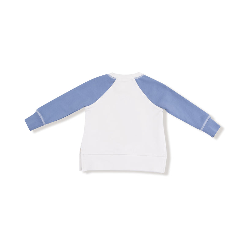 Country Calico - Raglan Sweatshirt and Jogger French Terry Set