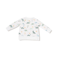 Soft Dinos - Green - Raglan Sweatshirt + Jogger Set