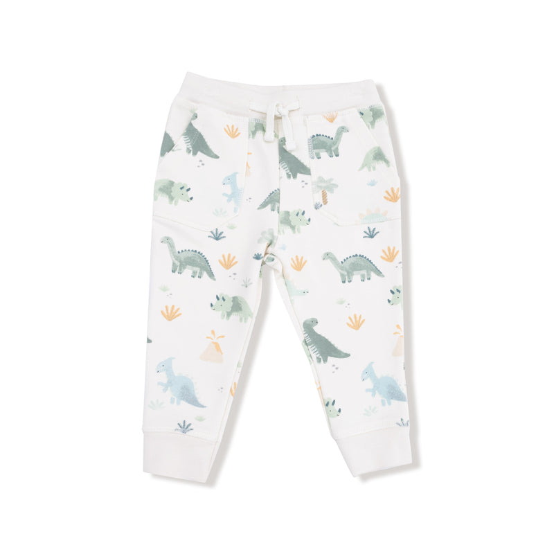 Soft Dinos - Green - Raglan Sweatshirt + Jogger Set