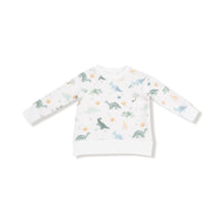 Soft Dinos - Green - Raglan Sweatshirt + Jogger Set