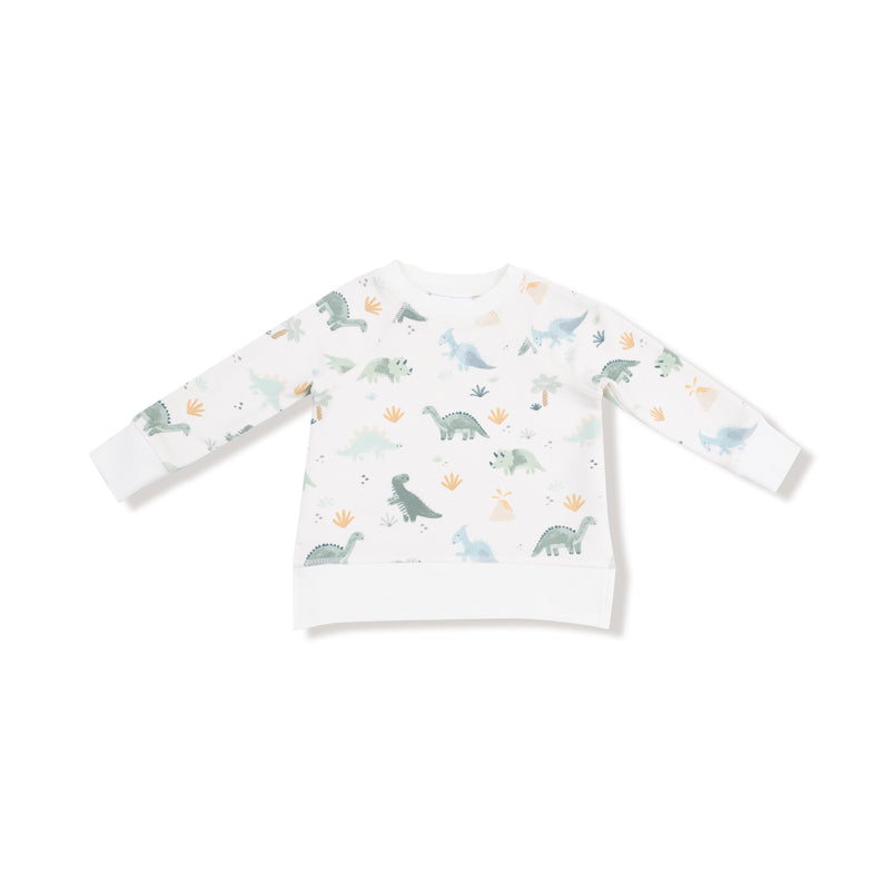 Soft Dinos - Green - Raglan Sweatshirt + Jogger Set