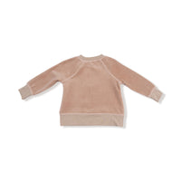 Velour Teddy Bear - Raglan Sweatshirt + Jogger Set