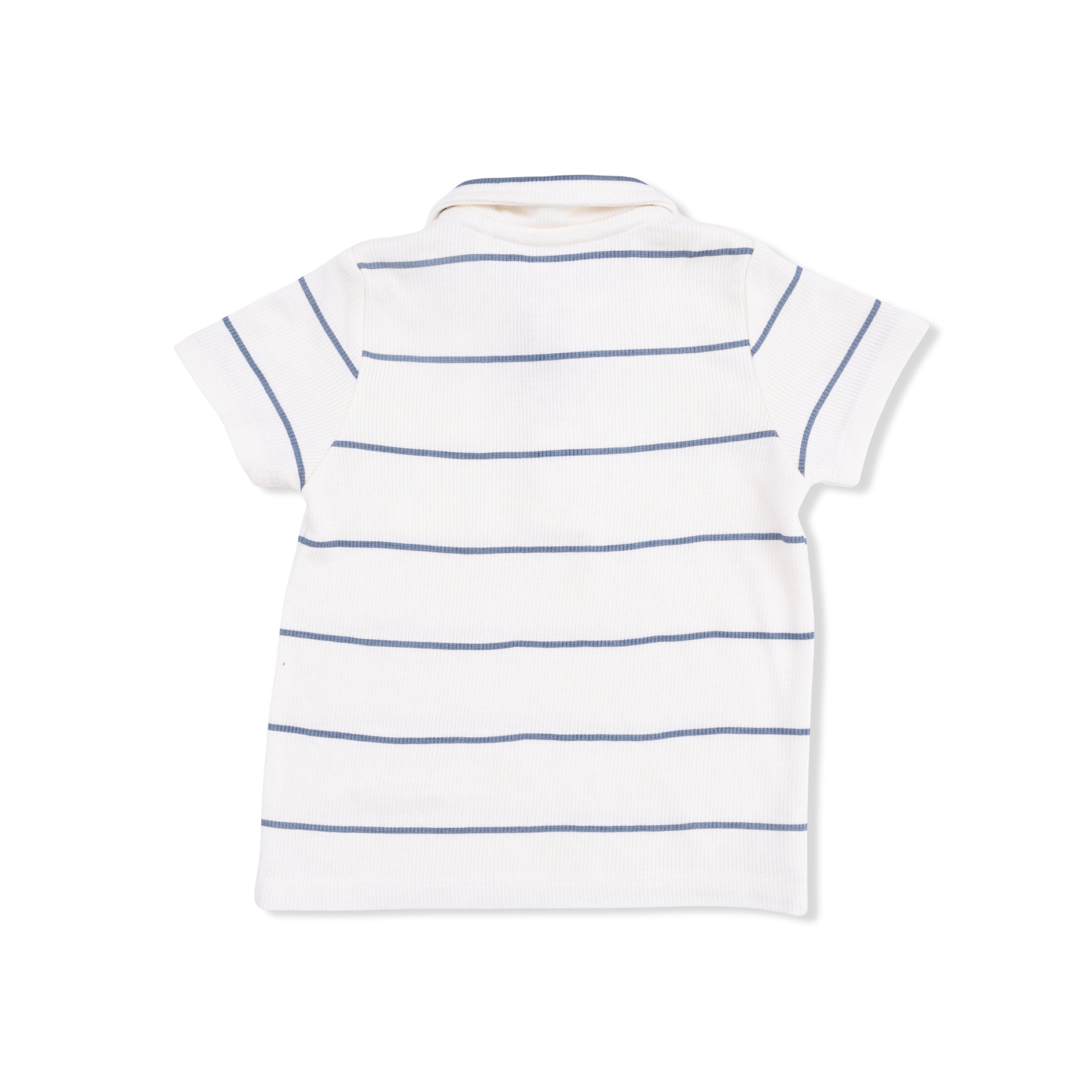 Vintage Stripe - Polo with Casual Short