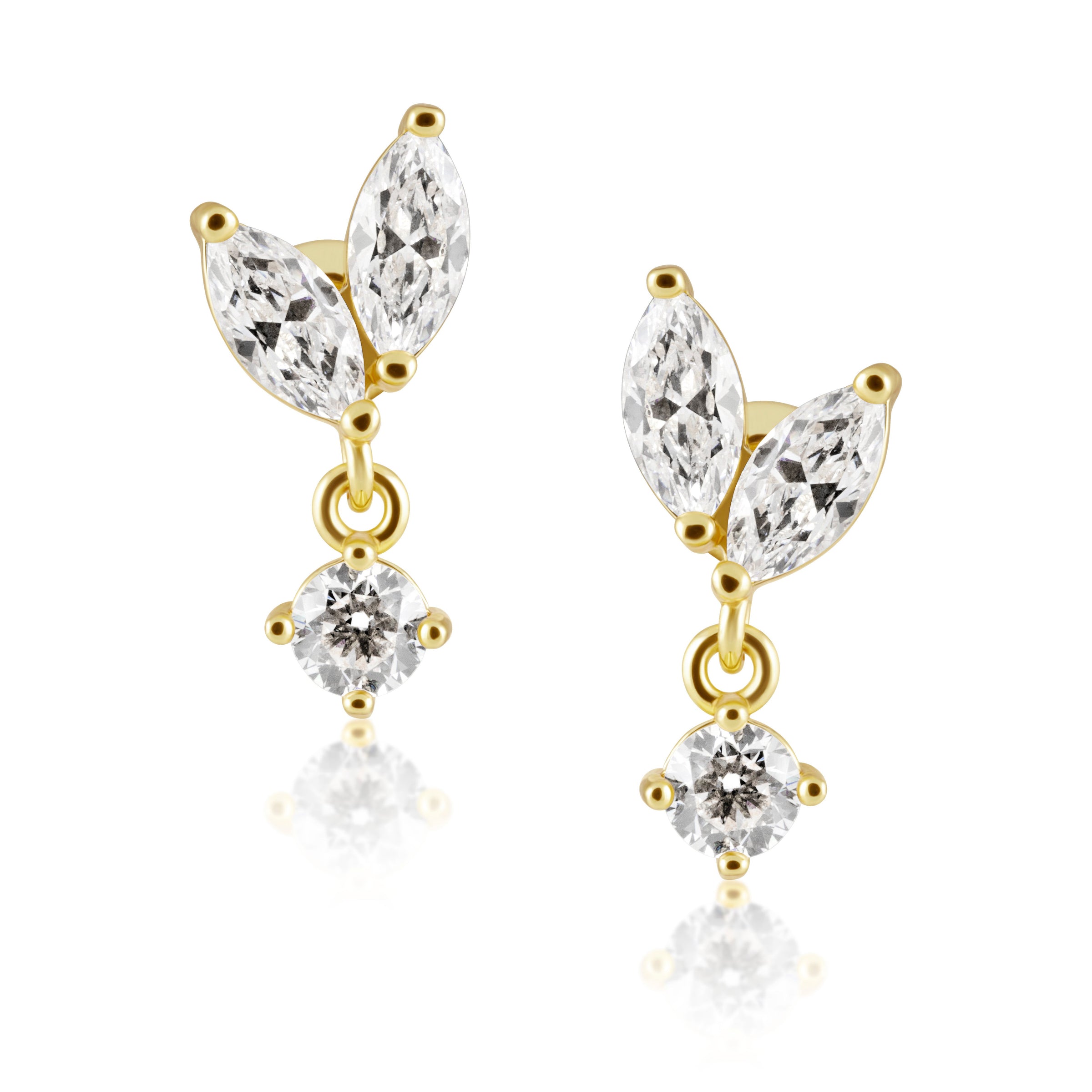 Bella Cz Stud