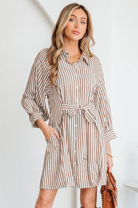 Valerie - Brown Stripe Shirt Dress