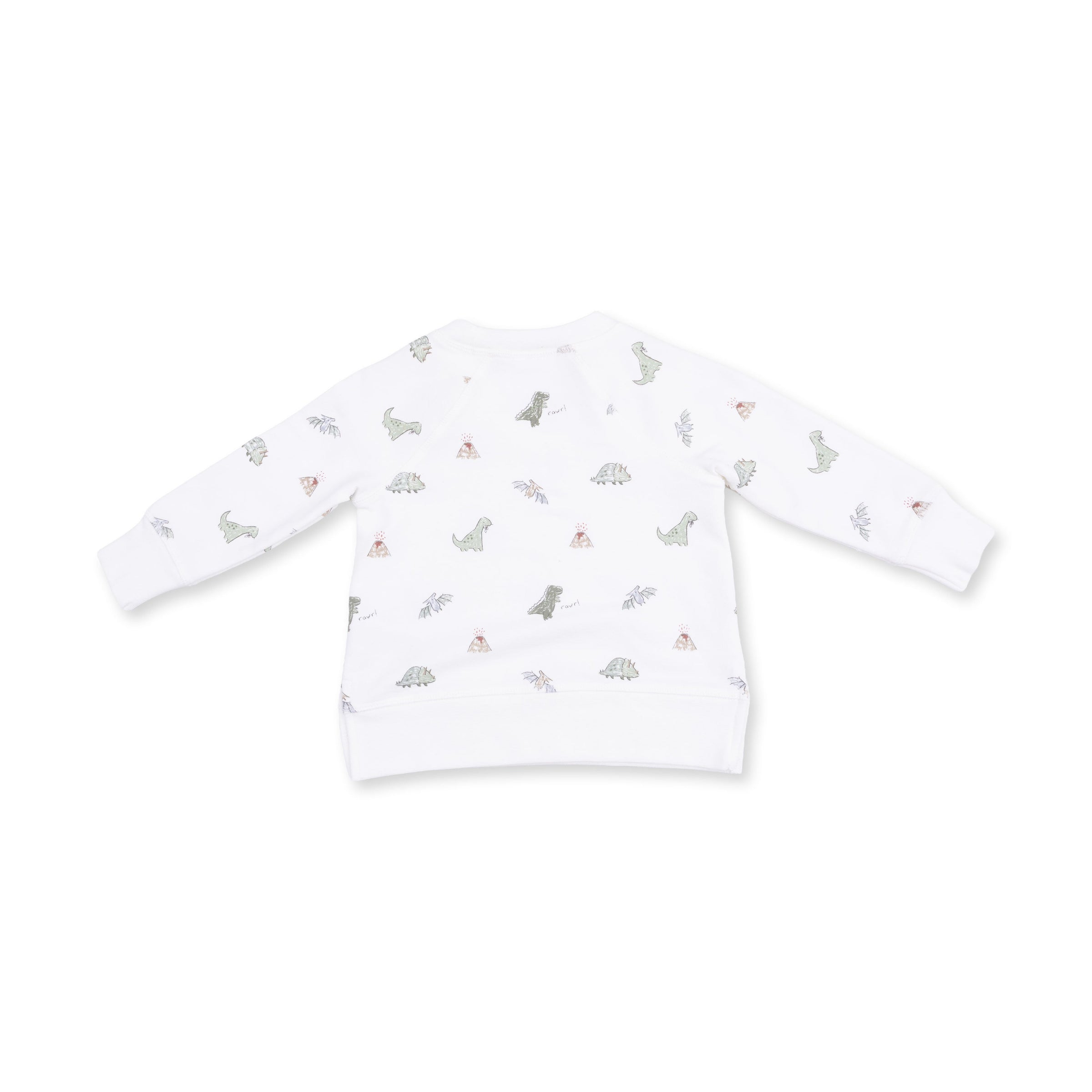 Dinos French Terry - Raglan Sweatshirt