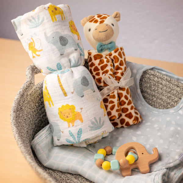 Zoo Baby Box Set