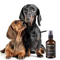 PROUD Dog & Cat Perfume Spray — Natural Deodorizing Pet Cologne with Bergamot & Citrus