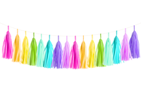 Tassel Garland for Graduation / Wedding /Bachelorette / Birthday