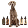THE WASH SAMPLE PACK — Try PRIDE+GROOM's Best-Selling Dog Shampoos & Conditioner
