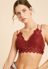 Bralette de encaje festoneado con doble tirante