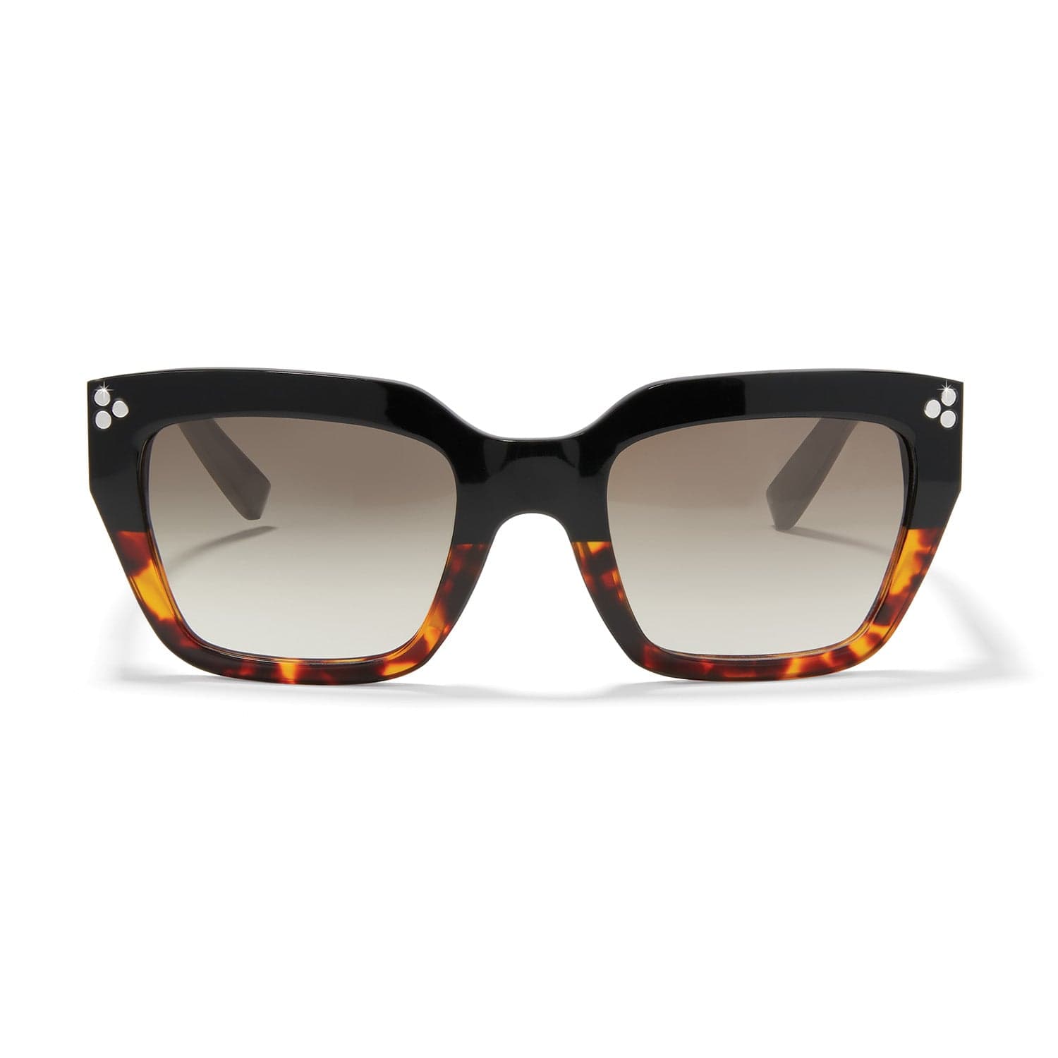 Brighton square sunglasses with black to tortoise gradient frame and silver-tone stud accents