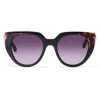 Brighton sunglasses with tortoiseshell temples and purple gradient lenses