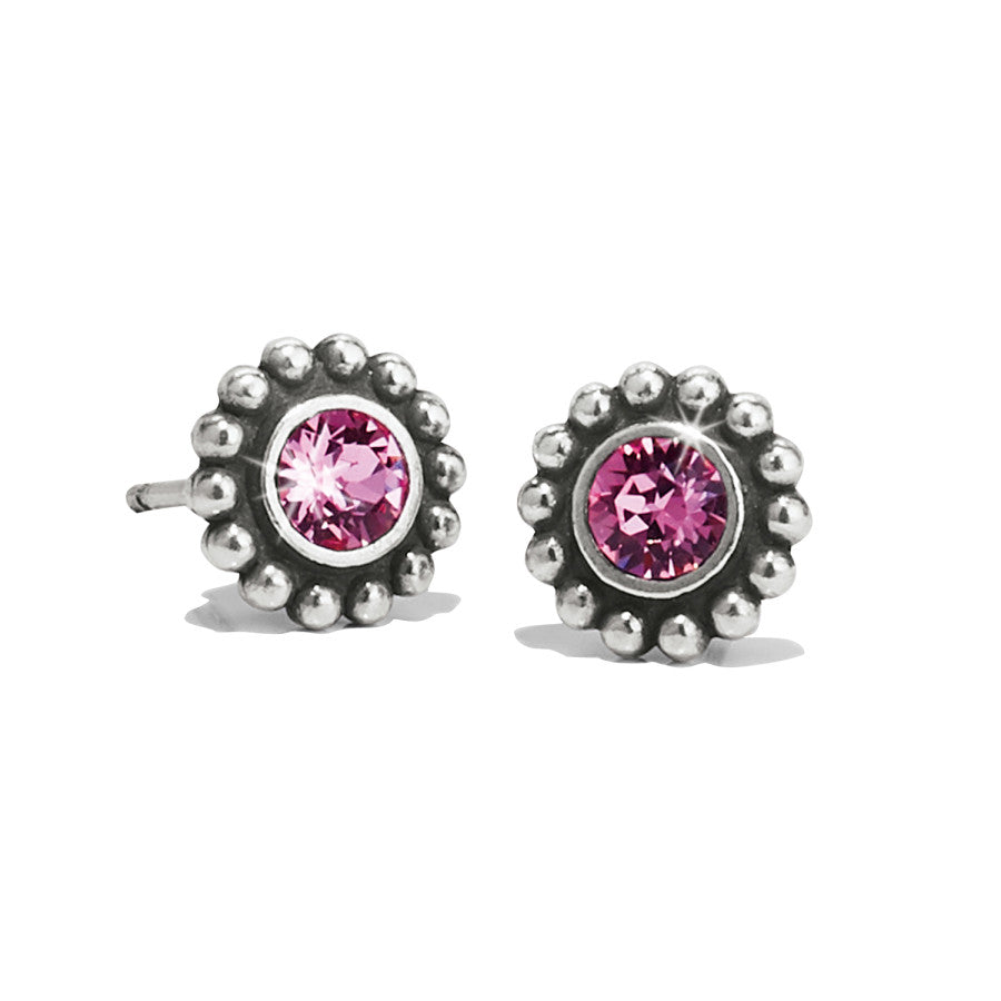 Rose Twinkle Mini Post Earrings