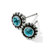 Zircon Twinkle Mini Post Stud Earrings